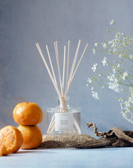 Beach House Diffuser