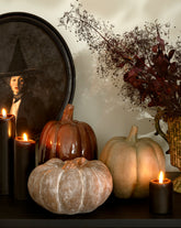 Autumn Pumpkin in Green