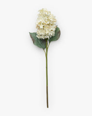 21" Cream Hydrangea