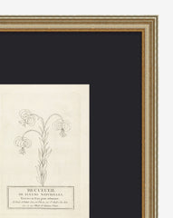 Collection Of French Flowers