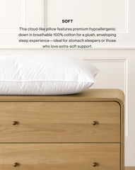 Classic Down Bed Pillow