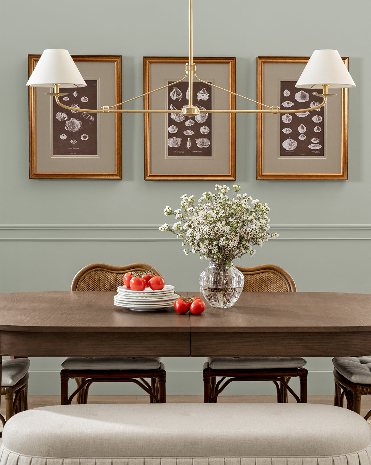 Conchology Study Triptych No. 2