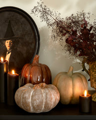 Autumn Pumpkin in Whitewash Brown