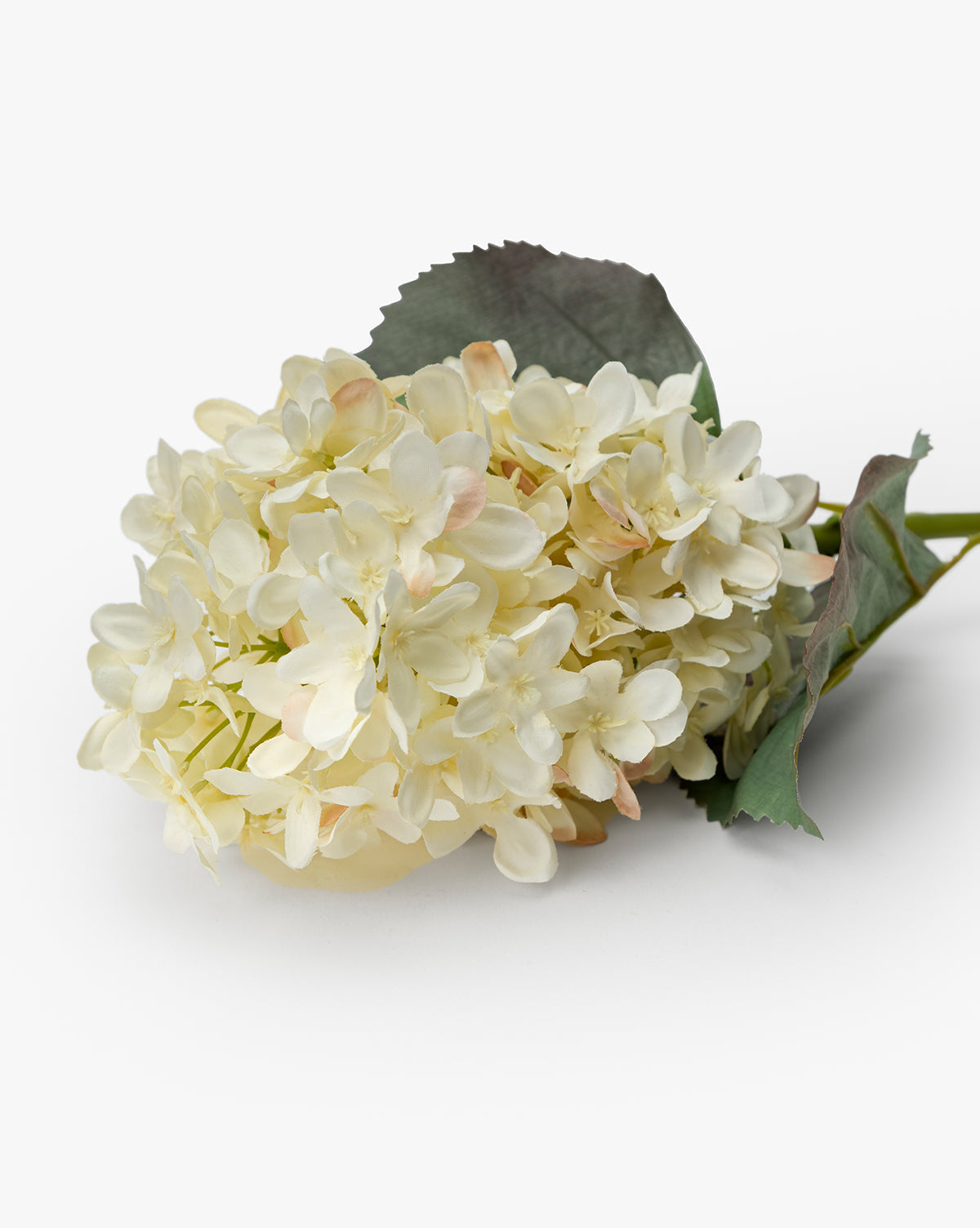 21" Cream Hydrangea