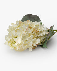 21" Cream Hydrangea