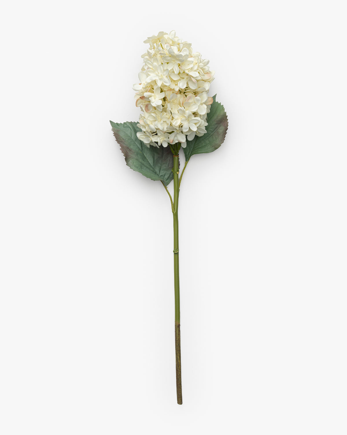 21" Cream Hydrangea