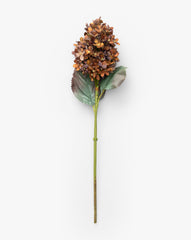 23" Burgundy Cone Hydrangea
