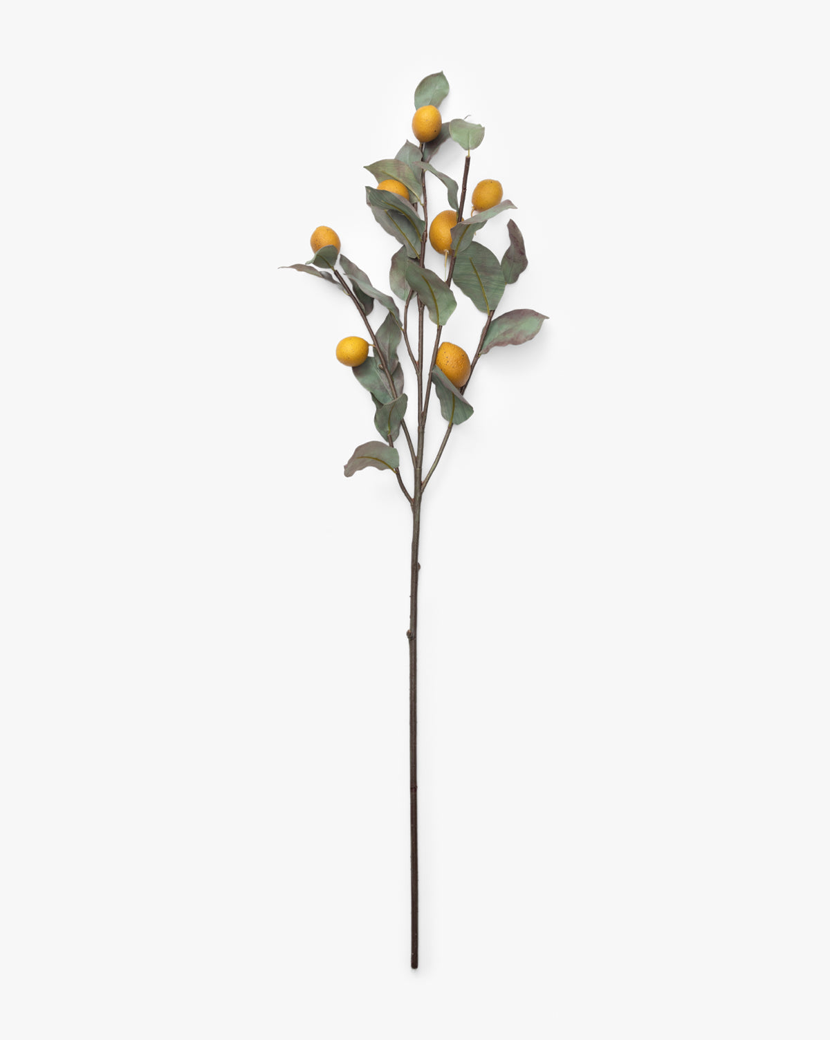 40" Lemon Branch