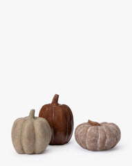 Autumn Pumpkin in Whitewash Brown