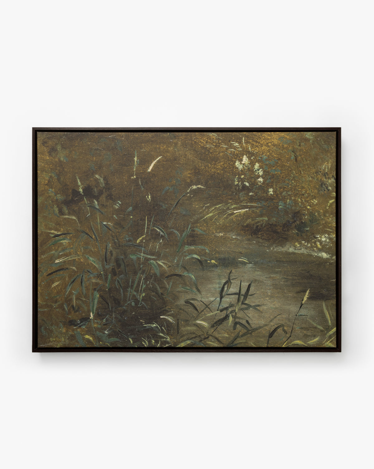 Bank Grasses