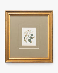 Blossoming Branch