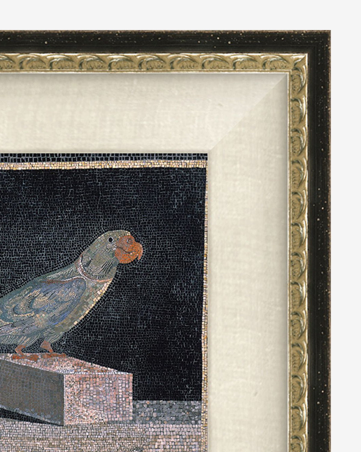 Blue Parrot