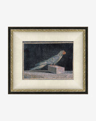 Blue Parrot
