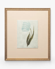 Blue Tulip
