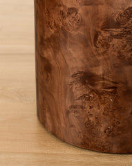 Bodhi Burl Side Table