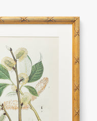 Botanical Study No. 3