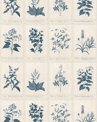 Botanique Wallpaper