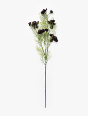 Burgundy Cosmos Stem