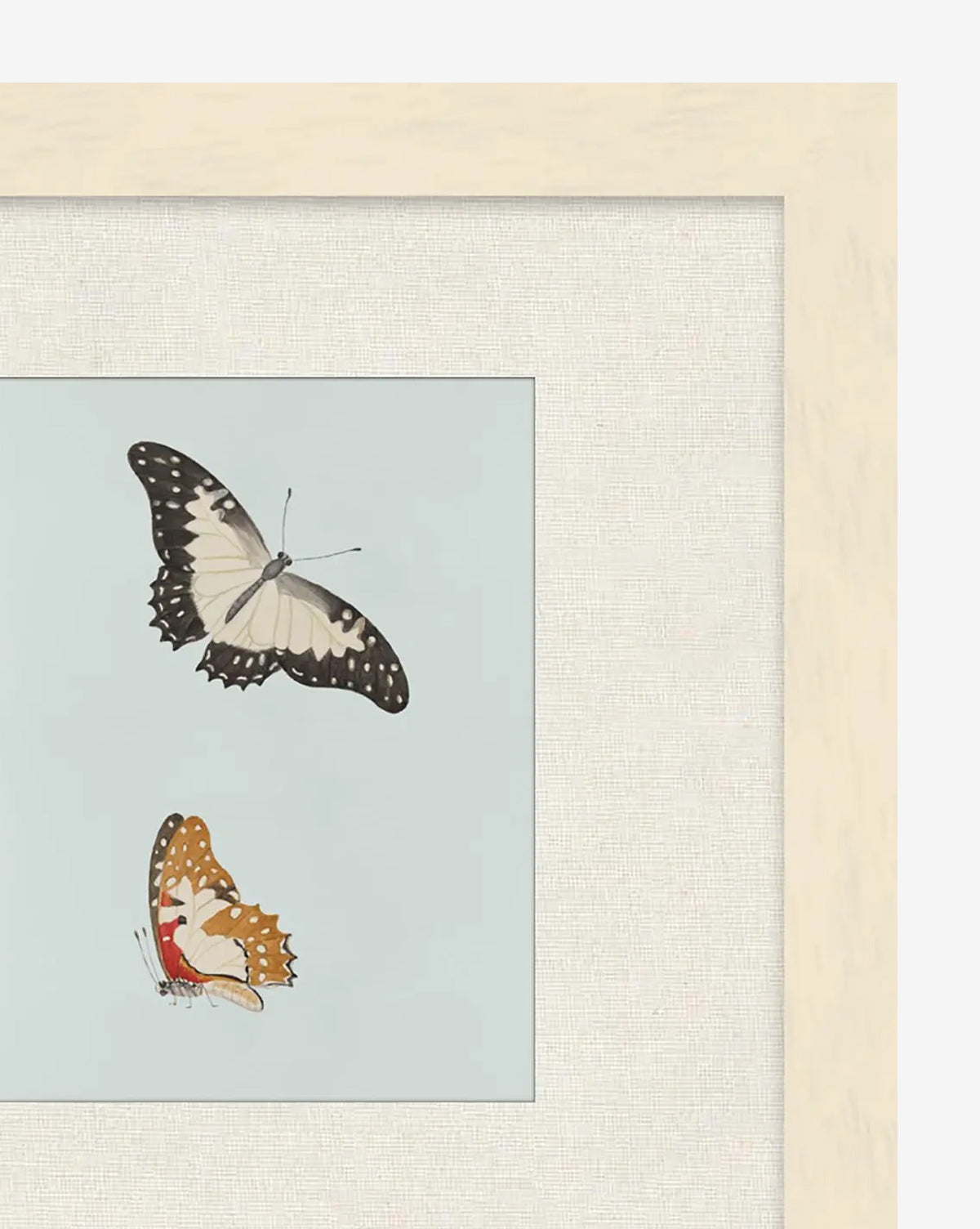 Butterflies Study II