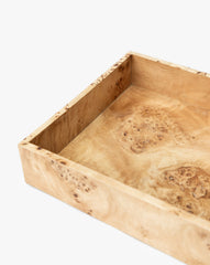 Chilton Burl Collection