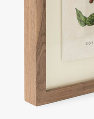 Coffee Shrub