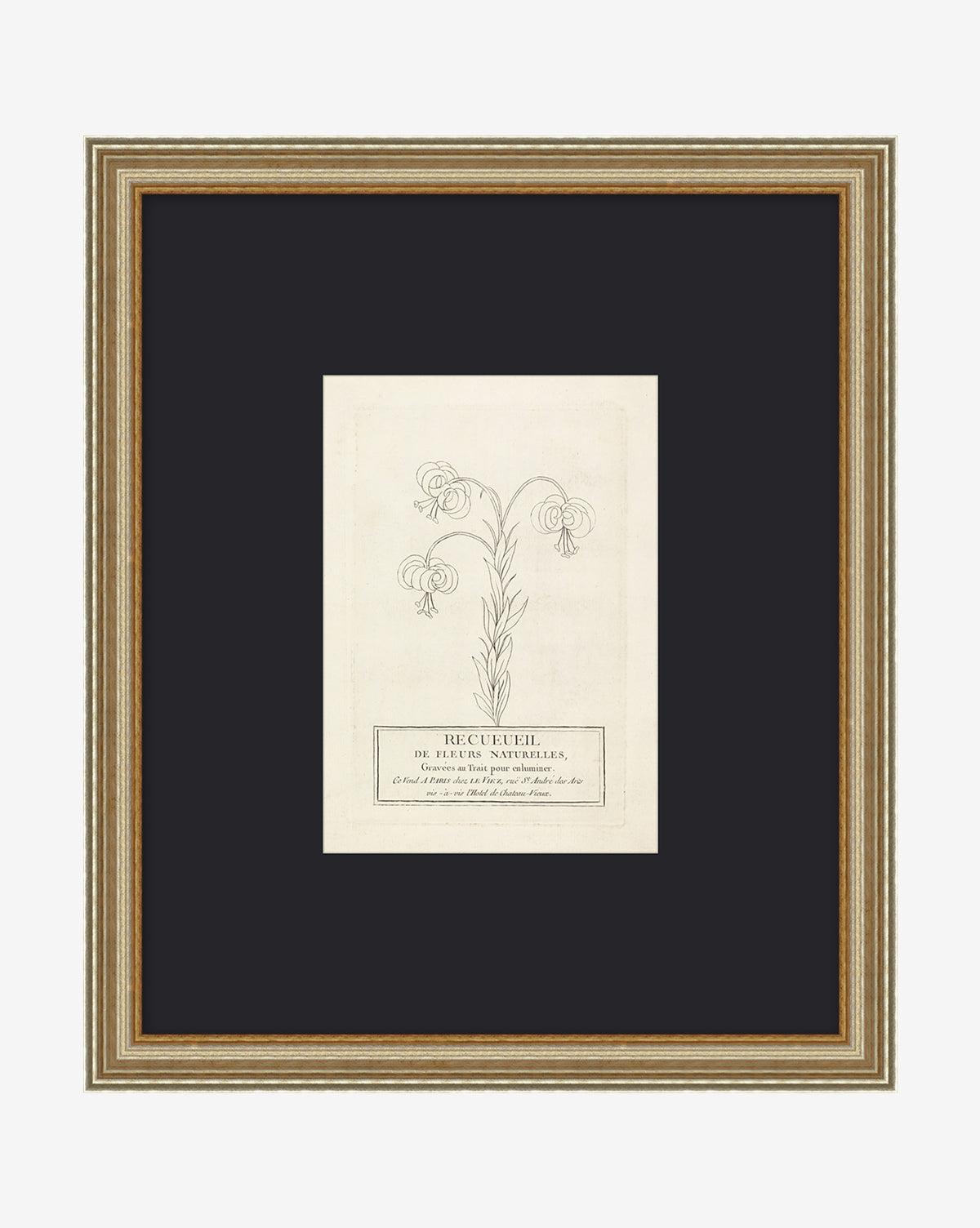 Collection Of French Flowers