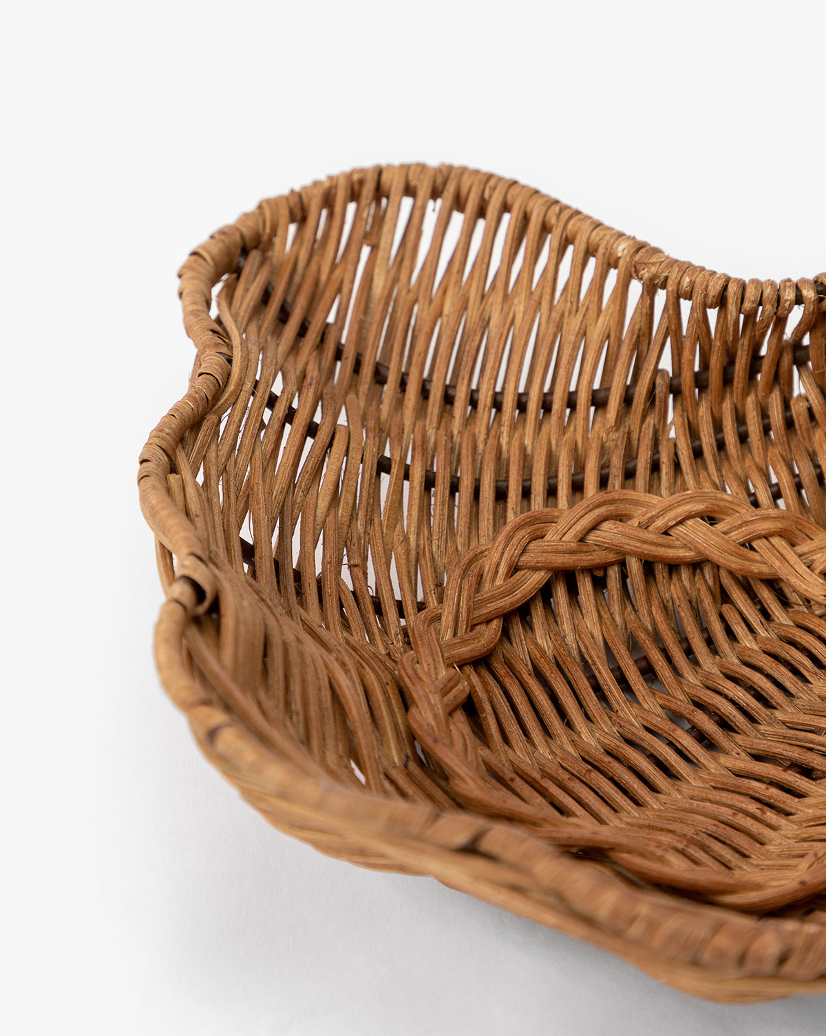 Concha Dish