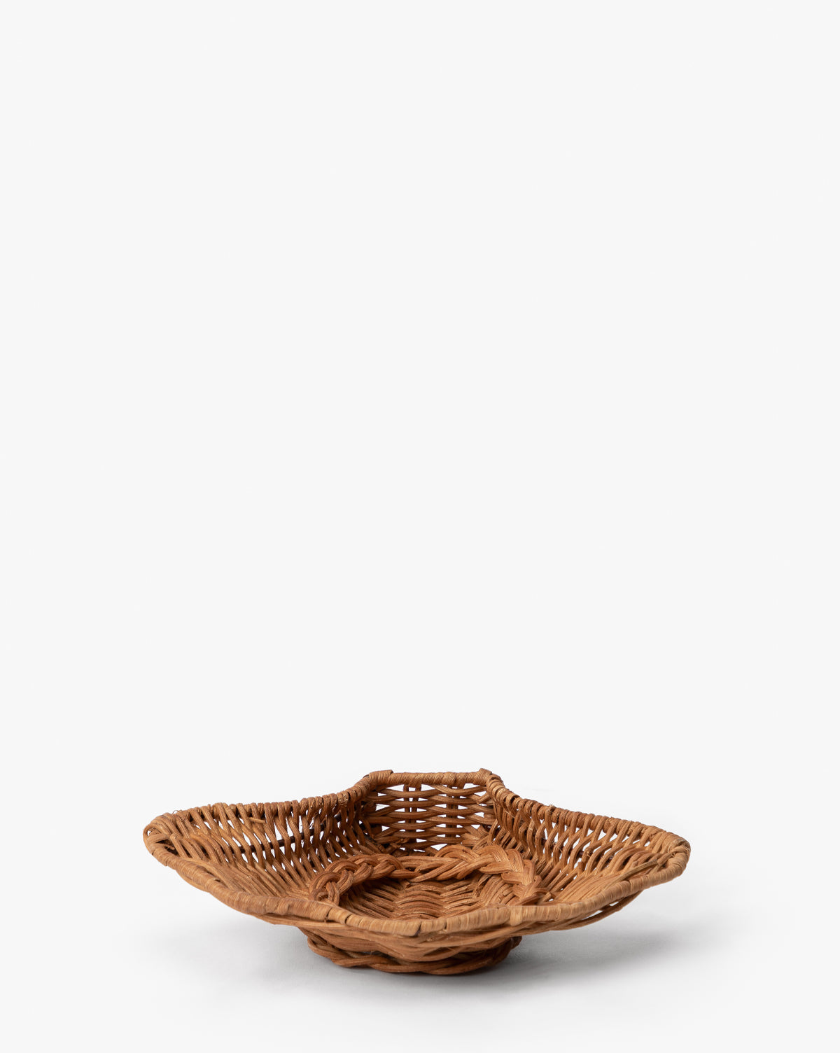 Concha Dish