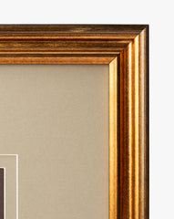 Conchology Study Triptych No. 2