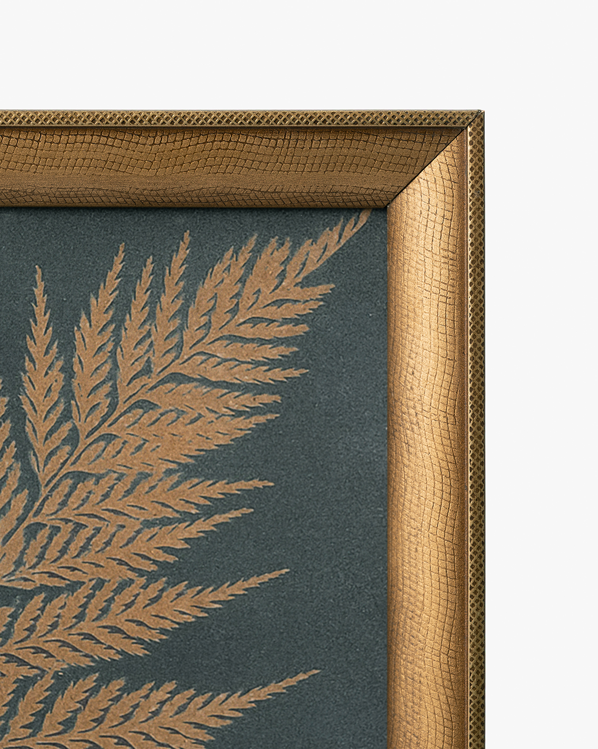 Copper Botanical 3