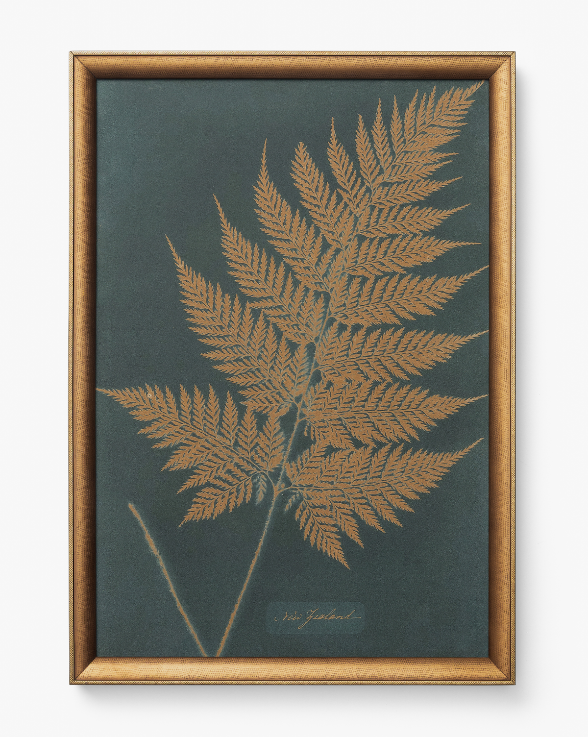 Copper Botanical 3
