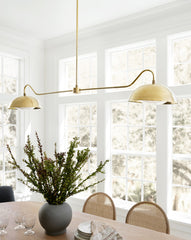 Aldorno Linear Chandelier