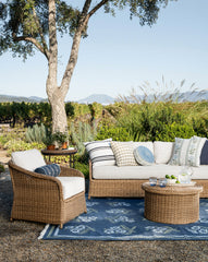 Aldridge Handwoven Indoor/Outdoor Rug